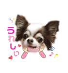 リーフ11（個別スタンプ：10）