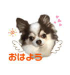 リーフ11（個別スタンプ：13）