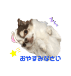 リーフ11（個別スタンプ：16）