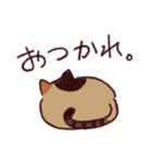 一頭身ねこ。(リメイク)（個別スタンプ：6）