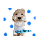 ダップー☆Lea ！！（個別スタンプ：2）