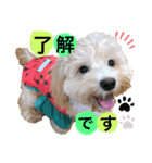 ダップー☆Lea ！！（個別スタンプ：5）