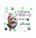 ダップー☆Lea ！！（個別スタンプ：11）