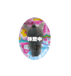 日常で使えるココスタ★（個別スタンプ：2）