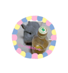 日常で使えるココスタ★（個別スタンプ：6）