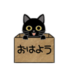 毎日使える箱入り娘の黒猫さん 2（個別スタンプ：2）