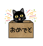 毎日使える箱入り娘の黒猫さん 2（個別スタンプ：5）