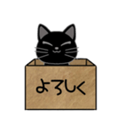 毎日使える箱入り娘の黒猫さん 2（個別スタンプ：8）