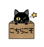 毎日使える箱入り娘の黒猫さん 2（個別スタンプ：10）