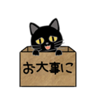 毎日使える箱入り娘の黒猫さん 2（個別スタンプ：11）