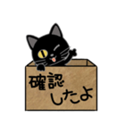 毎日使える箱入り娘の黒猫さん 2（個別スタンプ：14）