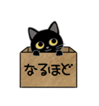 毎日使える箱入り娘の黒猫さん 2（個別スタンプ：19）