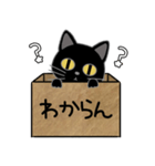 毎日使える箱入り娘の黒猫さん 2（個別スタンプ：21）