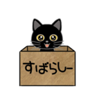 毎日使える箱入り娘の黒猫さん 2（個別スタンプ：22）