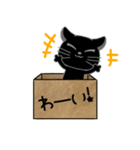 毎日使える箱入り娘の黒猫さん 2（個別スタンプ：26）