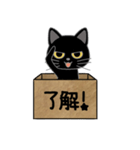 毎日使える箱入り娘の黒猫さん 2（個別スタンプ：31）
