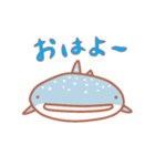 かわいいサメさんスタンプ（個別スタンプ：1）