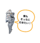 ★ミニチュアシュナウザー★の日常（個別スタンプ：25）