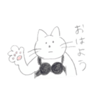 ブラジャーねこ（個別スタンプ：1）