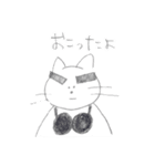 ブラジャーねこ（個別スタンプ：9）