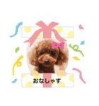 MOCOO2（個別スタンプ：7）