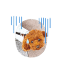 MOCOO2（個別スタンプ：8）