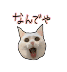 ハク様ゆる〜いスタンプ（個別スタンプ：16）