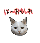 ハク様ゆる〜いスタンプ（個別スタンプ：21）
