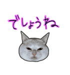 ハク様ゆる〜いスタンプ（個別スタンプ：31）
