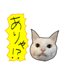ハク様ゆる〜いスタンプ（個別スタンプ：34）