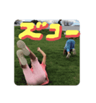ナツメダイチスタンプ（個別スタンプ：3）