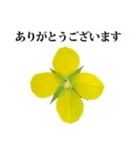 黄色の花 と 敬語（個別スタンプ：1）