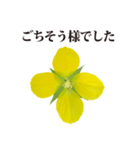 黄色の花 と 敬語（個別スタンプ：5）