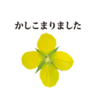 黄色の花 と 敬語（個別スタンプ：16）