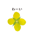 黄色の花 と 敬語（個別スタンプ：18）