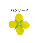 黄色の花 と 敬語（個別スタンプ：19）