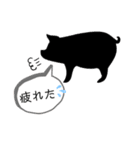 PIG BONE-NO1（個別スタンプ：12）