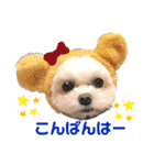 モアちゃんずラブ（個別スタンプ：3）