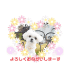モアちゃんずラブ（個別スタンプ：5）