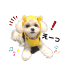 モアちゃんずラブ（個別スタンプ：14）