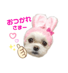 モアちゃんずラブ（個別スタンプ：21）