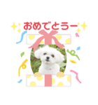 モアちゃんずラブ（個別スタンプ：22）