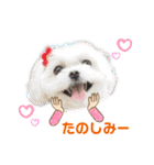 モアちゃんずラブ（個別スタンプ：24）