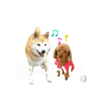 シュンあい応援歌2（個別スタンプ：2）