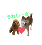 シュンあい応援歌2（個別スタンプ：3）
