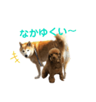 シュンあい応援歌2（個別スタンプ：4）