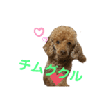 シュンあい応援歌2（個別スタンプ：5）