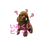 シュンあい応援歌2（個別スタンプ：7）