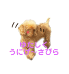 シュンあい応援歌2（個別スタンプ：9）