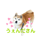 シュンあい応援歌2（個別スタンプ：10）